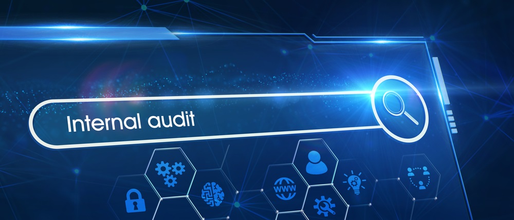 Internal financial audit